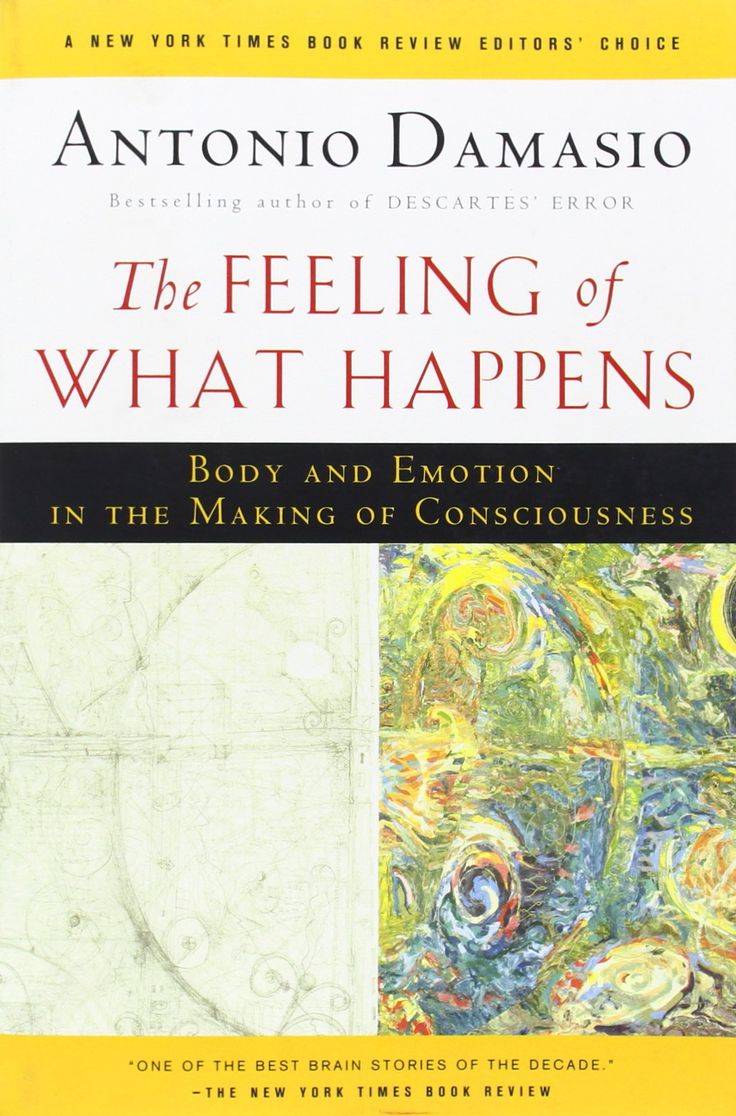 The Feeling of What Happens, Damasio (1999)